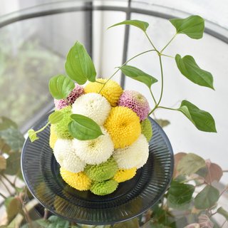 花手毬　ミックス