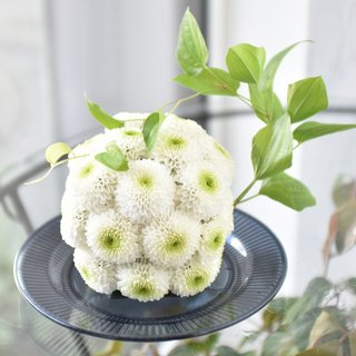 花手毬　白色　