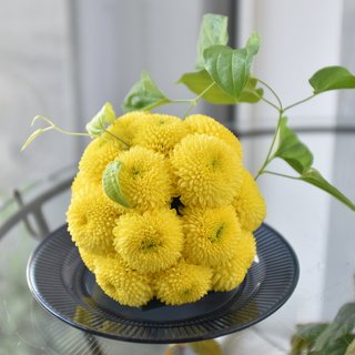 花手毬　黄色　