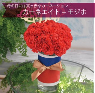 母の日ギフト カーネ８ レッド 花瓶付き花束 札幌の花屋 花屋さとうはなみつ 年間1万000件以上の注文実績