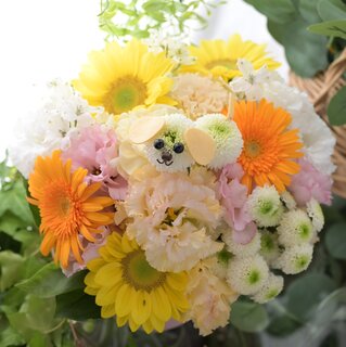 ペットのお供えのお花