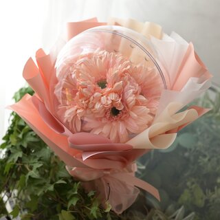 スフィア　ガーベラ