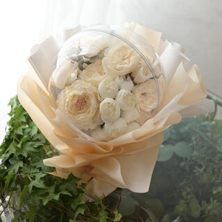 スフィア　ホワイトローズ