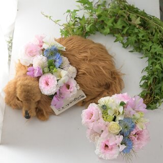 虹の花衣（はごろも）アレンジメントSS