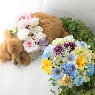 虹の花衣（はごろも）アレンジメントM