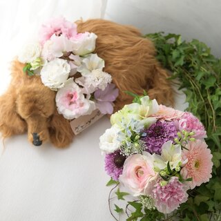 虹の花衣（はごろも）アレンジメントs