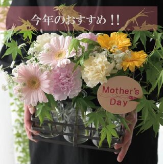 母の日ギフト㉒ 「スリーボトル　ピンク＆イエロー」限定50個