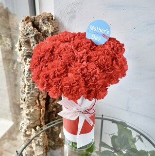 ㉙母の日ギフト　カーネ８　レッド（花瓶付き花束）限定10個