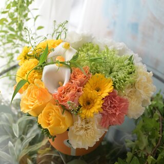 お祝いコロン