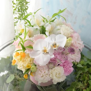 お急ぎ　お届けコロン