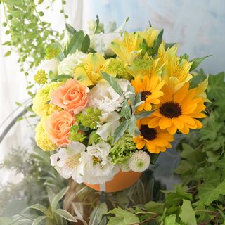 お祝いコロン