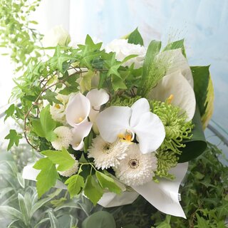 お供えコロン