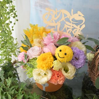 お祝いコロン