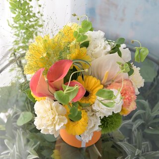お祝いコロン