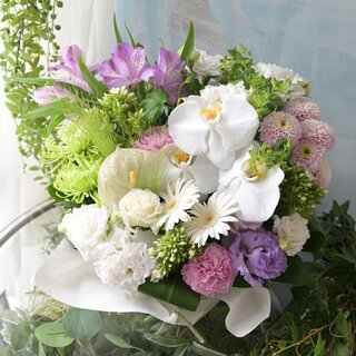 お急ぎ　お届けコロン