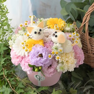 お祝いコロン