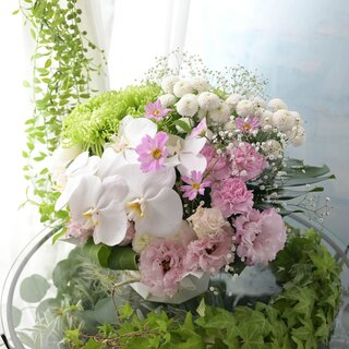 お急ぎ　お届けコロン